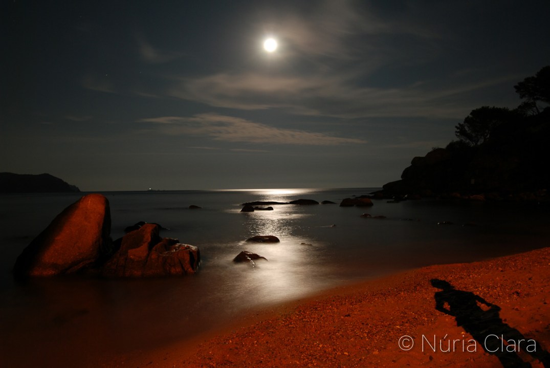 dsc_3134-corregida-tamany-normal